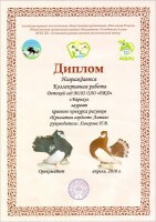 2016, Хмырова Н.В., Диплом лауреата_thumb102.jpg